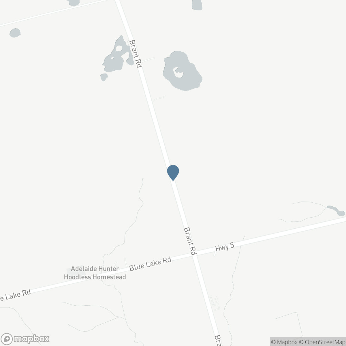 234 BRANT Road, Brant, Ontario N0E 1N0